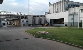 Chau Shimy: quebró la empresa que hacía los postres de Sancor y echan 400 trabajadores | Despidos