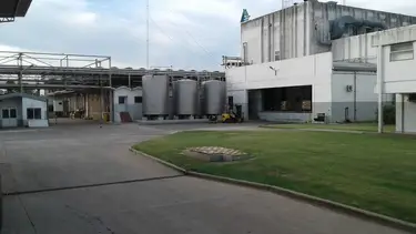 Chau Shimy: quebró la empresa que hacía los postres de Sancor