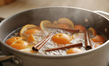 El truco con cáscaras de mandarina que perfuma y limpia el ambiente | Truco