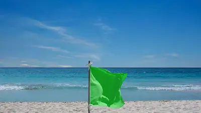 bandera verde. bandera verde.