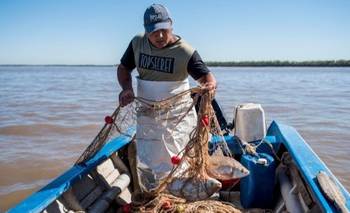 Pescadores protestan contra la suspensión del acopio de pescado para exportación | Exportaciones
