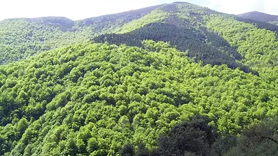 La Rioja firma nuevos acuerdos con el nivel superior para la formación profesional con perspectiva ambiental La Rioja firma nuevos acuerdos con el nivel superior para la formación profesional con perspectiva ambiental