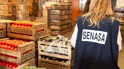 El Gobierno flexibiliza el control sanitario de alimentos importados y limita la inspección de productos El Gobierno flexibiliza el control sanitario de alimentos importados y limita la inspección de productos