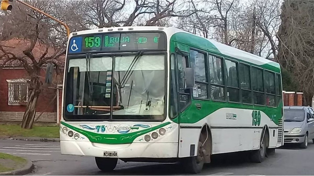PARO DE COLECTIVOS en el AMBA: cuáles son las líneas afectadas y hasta ...