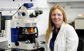 Premian a una bióloga del Conicet por crear cultivos resistentes al calor | Conicet