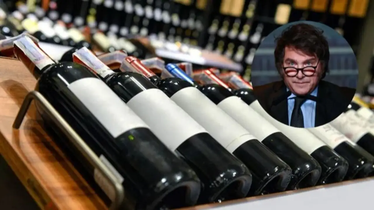 Efecto Milei: crece la preocupación en el sector vitivinícola por la desregulación en la trazabilidad del vino