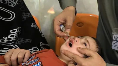 Muestra de aguas residuales Alemania contiene forma salvaje de polio, dice instituto sanitario a Reuters Muestra de aguas residuales Alemania contiene forma salvaje de polio, dice instituto sanitario a Reuters