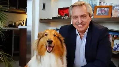 Alberto Fernández y su perro, Dylan Alberto Fernández y su perro, Dylan