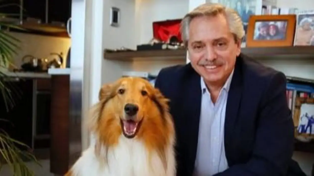 Alberto Fernández y su perro, Dylan