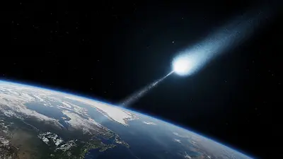 Cómo es el oso de agua, el animal más resistente del mundo que podría sobrevivir en el espacio. Cómo es el oso de agua, el animal más resistente del mundo que podría sobrevivir en el espacio.