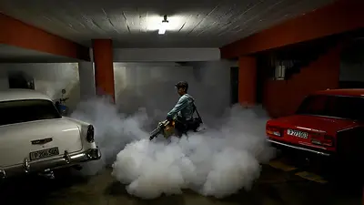 Cuba lucha por contener la propagación del virus chikungunya transmitido por mosquitos Cuba lucha por contener la propagación del virus chikungunya transmitido por mosquitos