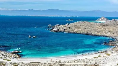 Furor con la joya marina de Chile con ballenas y pingüinos todo el año Furor con la joya marina de Chile con ballenas y pingüinos todo el año