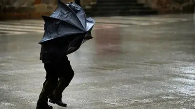 Una persona con un paraguas bajo la lluvia Una persona con un paraguas bajo la lluvia