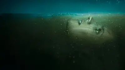 serie ausente serie ausente