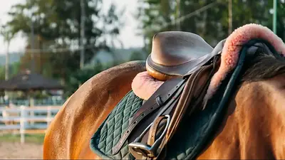 Yoga y cabalgatas a caballo en Córdoba: actividades para hacer en noviembre 2025 Yoga y cabalgatas a caballo en Córdoba: actividades para hacer en noviembre 2025