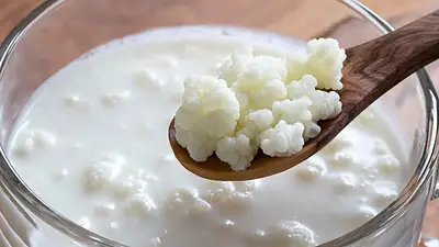 Kéfir Kéfir