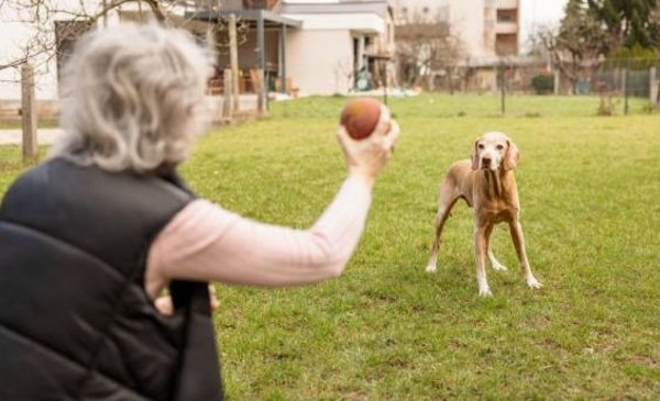 Un joven entró a la casa de su abuela y encontró a su perro en la ...
