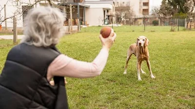 abuela con perro abuela con perro