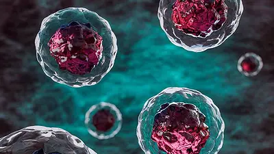 Anticuerpos. Anticuerpos.