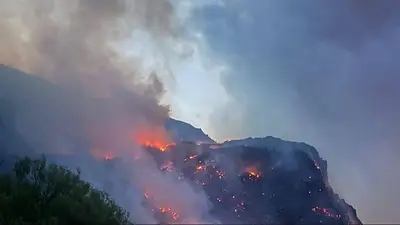 Incendio en Epuyén: el fuego ya arrasó con 200 hectáreas de bosques nativos Incendio en Epuyén: el fuego ya arrasó con 200 hectáreas de bosques nativos