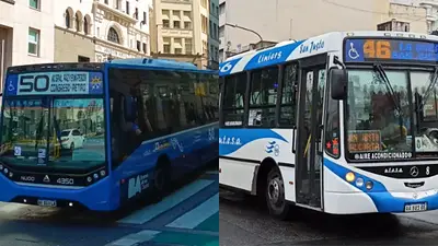 Colectivos Colectivos