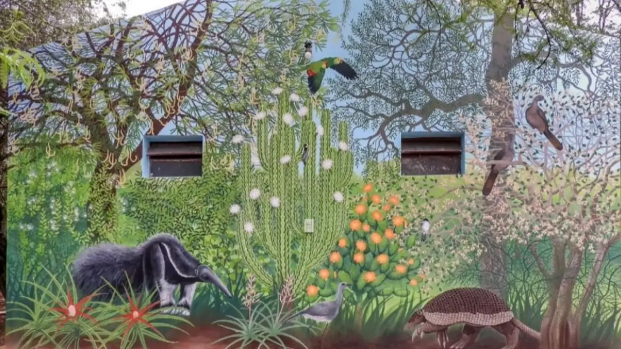 La Reserva Natural Formosa se prepara para un verano a pura naturaleza, camping y avistaje de aves