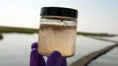 Alertan que un 70% de la provincia de Buenos Aires está en riesgo por la presencia de arsénico en el agua Alertan que un 70% de la provincia de Buenos Aires está en riesgo por la presencia de arsénico en el agua