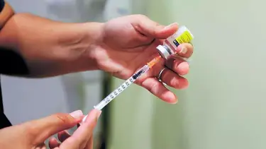 Verano 2026 en Brasil: las claves sobre la vacuna de la fiebre amarilla y las zonas de riesgo