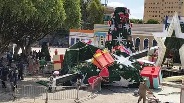 Un árbol navideño de 32 metros se desplomó mientras lo instalaban y mató a un hombre