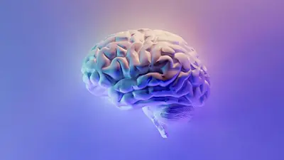 Cerebro. Cerebro.