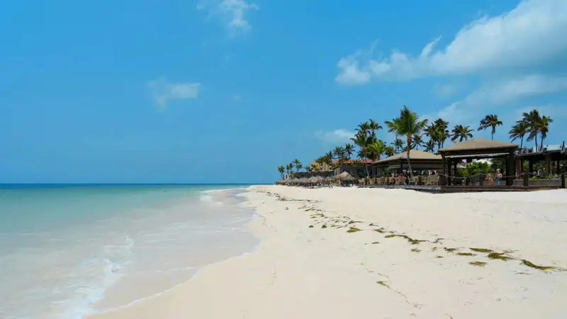 PIX, el gran aliado de los turistas argentinos: así se paga en Brasil sin enfrentar el «dólar turista»