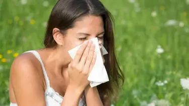 Chau alergias en primavera y verano: estos son los alimentos que disminuyen los síntomas, según una experta en nutrición