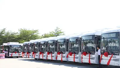 Colectivos Colectivos
