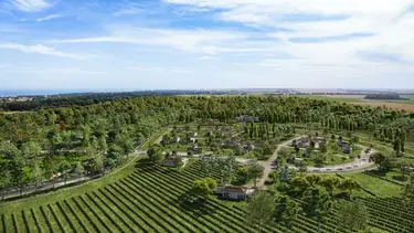 Se amplía la ruta de los vinos de mar: cómo llegar a los nuevos viñedos de Chapadmalal