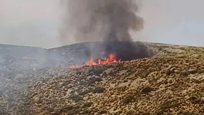 Incendios en Neuquén: logran contener dos focos pero se quemaron más de 4000 hectáreas Incendios en Neuquén: logran contener dos focos pero se quemaron más de 4000 hectáreas
