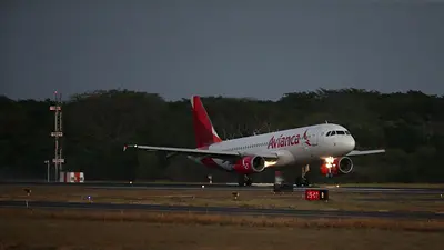 Avianca dice que actualizó el software del 51% de sus aviones: comunicado Avianca dice que actualizó el software del 51% de sus aviones: comunicado