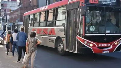 Colectivo Colectivo