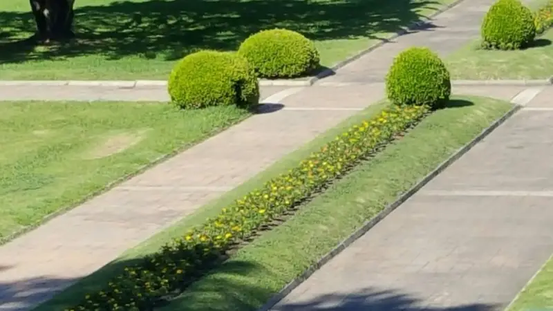 El regalo que le preparó Cristina a Macri en Olivos