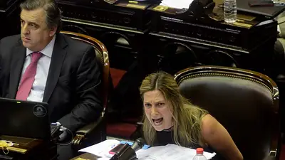 El desaforado discurso de una diputada oficialista: le dijo "tiranos" a los que votaron la reforma de Ganancias El desaforado discurso de una diputada oficialista: le dijo "tiranos" a los que votaron la reforma de Ganancias