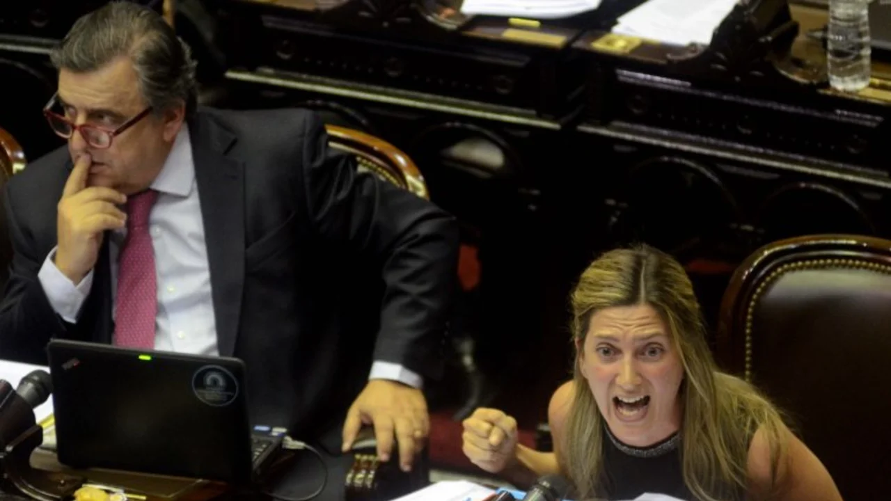 Los memes sobre el desencajado discurso de la diputada Silvia Lospennato