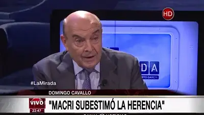 Los "nuevos" consejos de Cavallo al Gobierno: privatizar y volver a la Convertibilidad Los "nuevos" consejos de Cavallo al Gobierno: privatizar y volver a la Convertibilidad