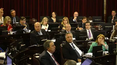 El Senado aprobó la ley de Emergencia Social por unanimidad El Senado aprobó la ley de Emergencia Social por unanimidad