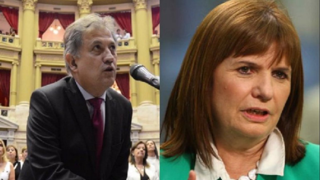El explosivo comentario de un diputado contra Bullrich por el "tinto y el blanco"