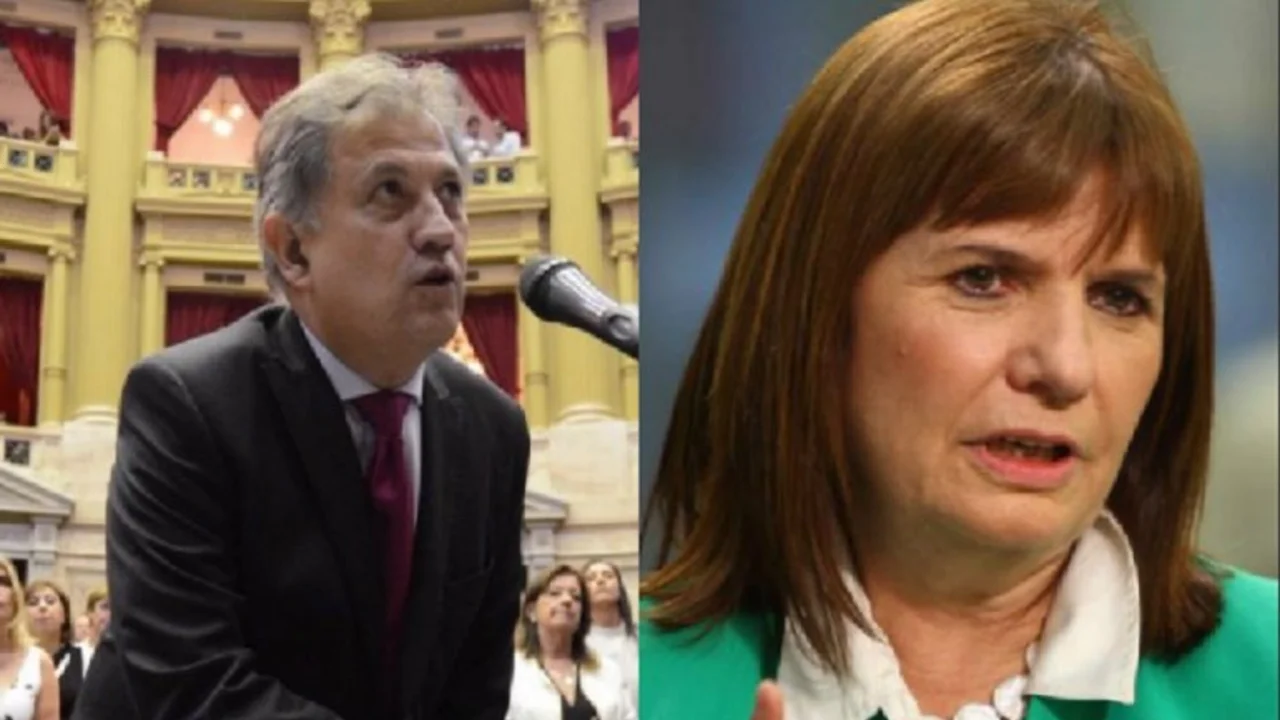 El explosivo comentario de un diputado contra Bullrich por el "tinto y el blanco"