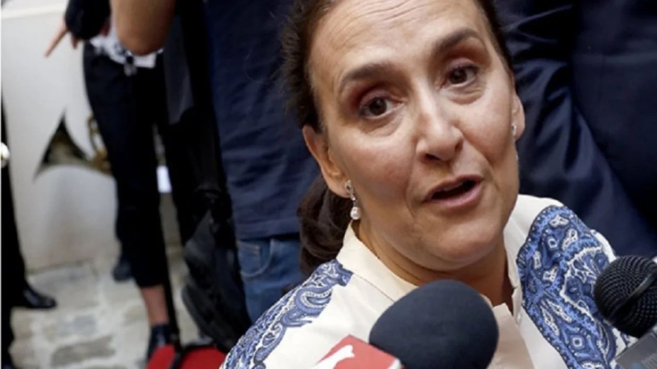 Insólito: qué dijeron los compañeros de colegio de Michetti sobre la reforma previsional