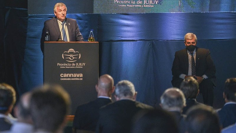Marihuana medicinal: comenzó en Jujuy la producción de aceite de cannabis