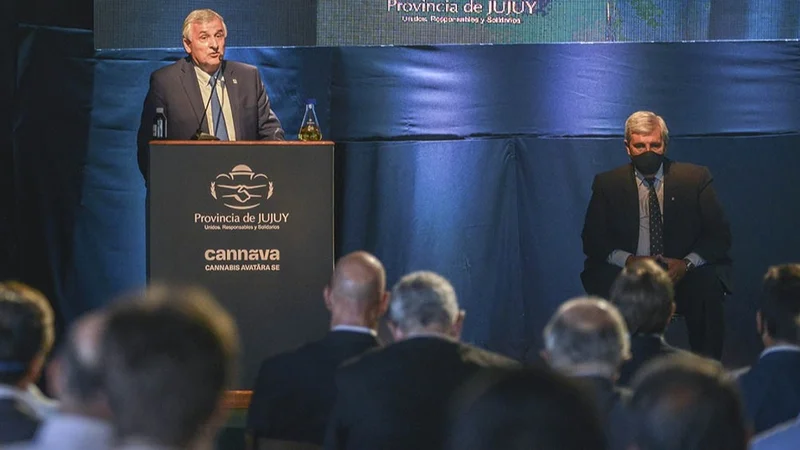 Marihuana medicinal: comenzó en Jujuy la producción de aceite de cannabis