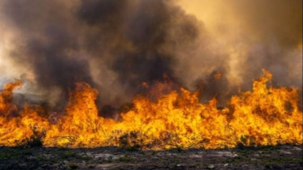 Incendios en el Delta 