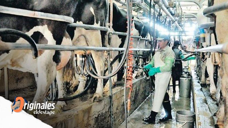 La producción de leche en los tambos es la más baja en los últimos 17 años