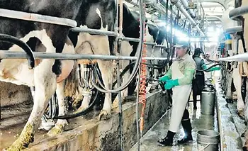 El campo crece, pero con más concentración y trabajo precarizado | Agro